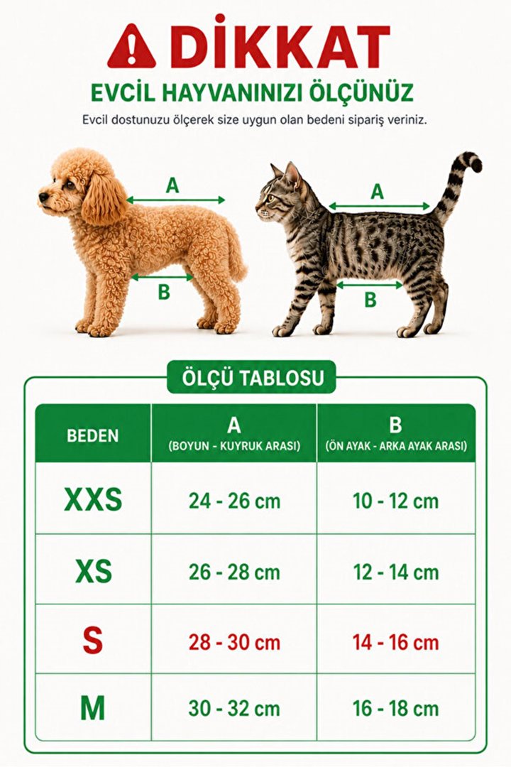 Benetton Ana Kucağı Yeşil (L) görsel 3