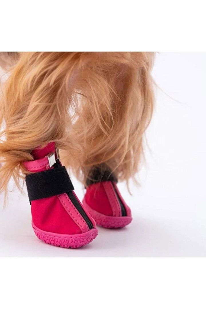 Pawstar Köpek Ayakkabısı Fuşya No:2 görsel 2