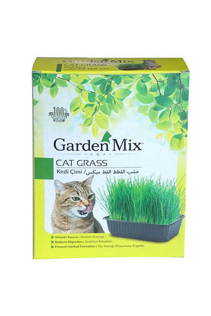 Garden Mix Kedi Çimi görsel 2