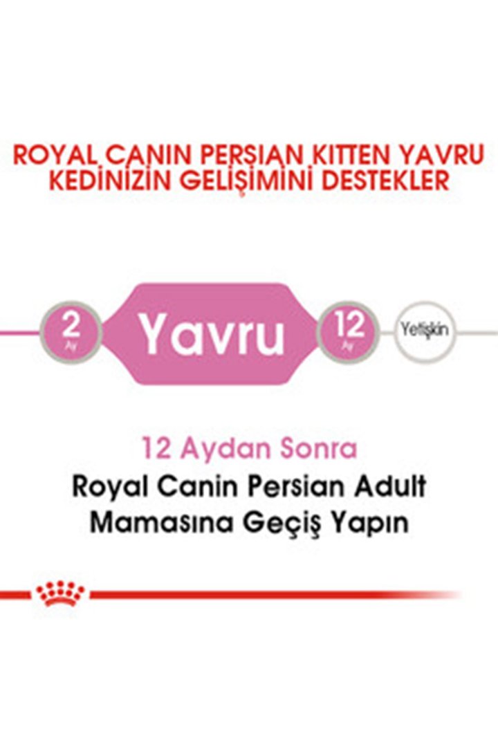 Royal Canin Yavru Kedi Maması İran Kedisi 2 Kg görsel 3