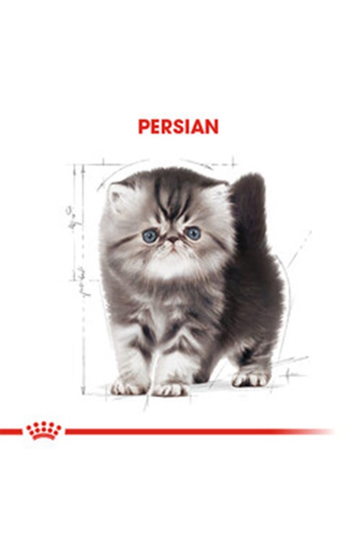 Royal Canin Yavru Kedi Maması İran Kedisi 2 Kg görsel 6