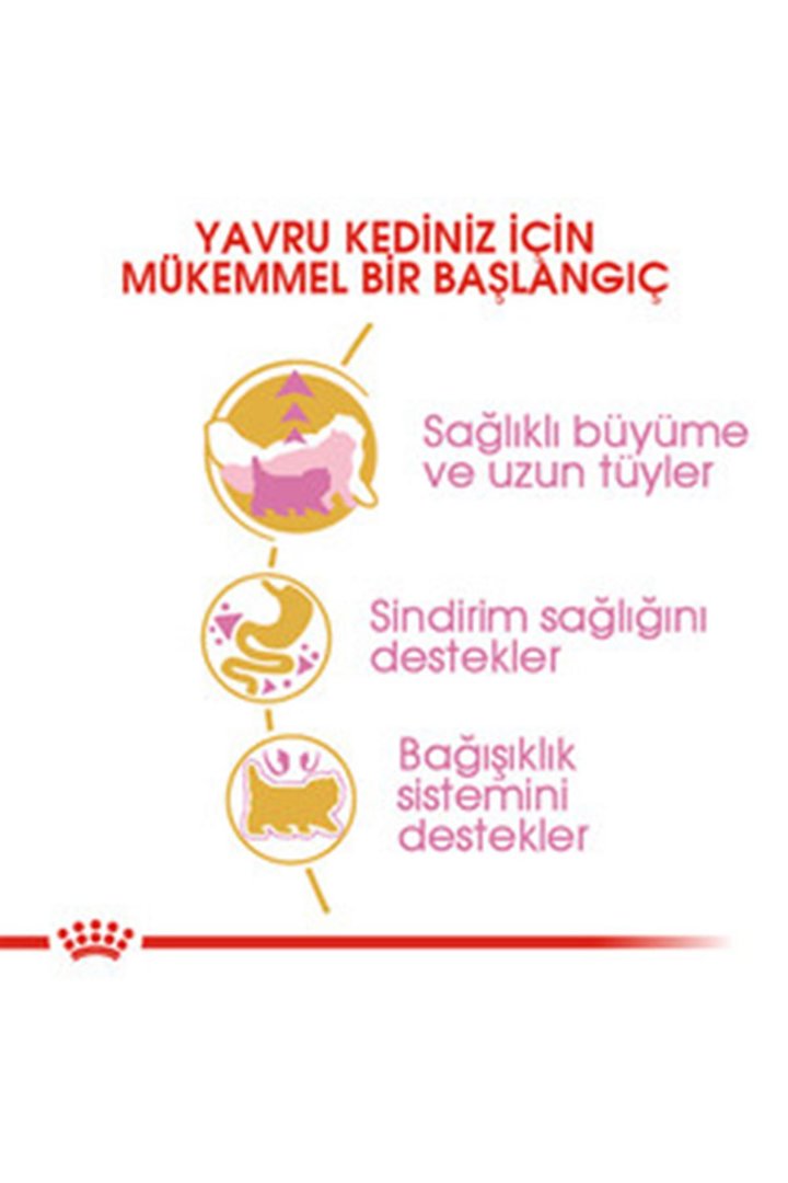 Royal Canin Yavru Kedi Maması İran Kedisi 2 Kg görsel 8