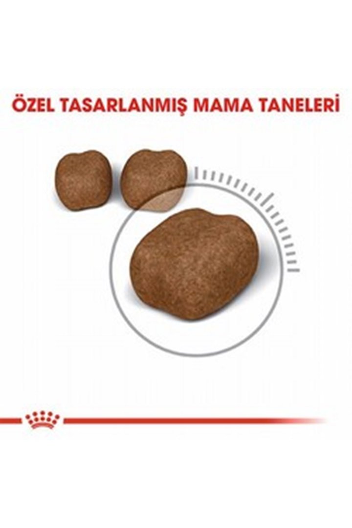 Royal Canin Kedi Maması Diş Sağlığı 1.5 Kg görsel 3