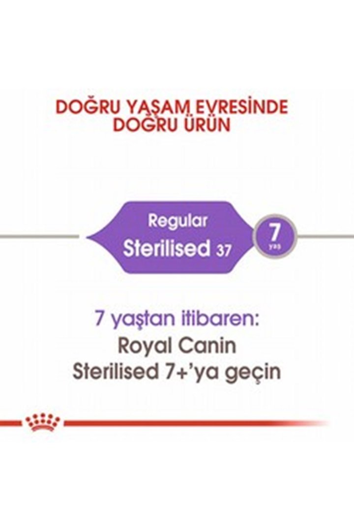 Royal Canin Kısır Kedi Maması 15 Kg görsel 3