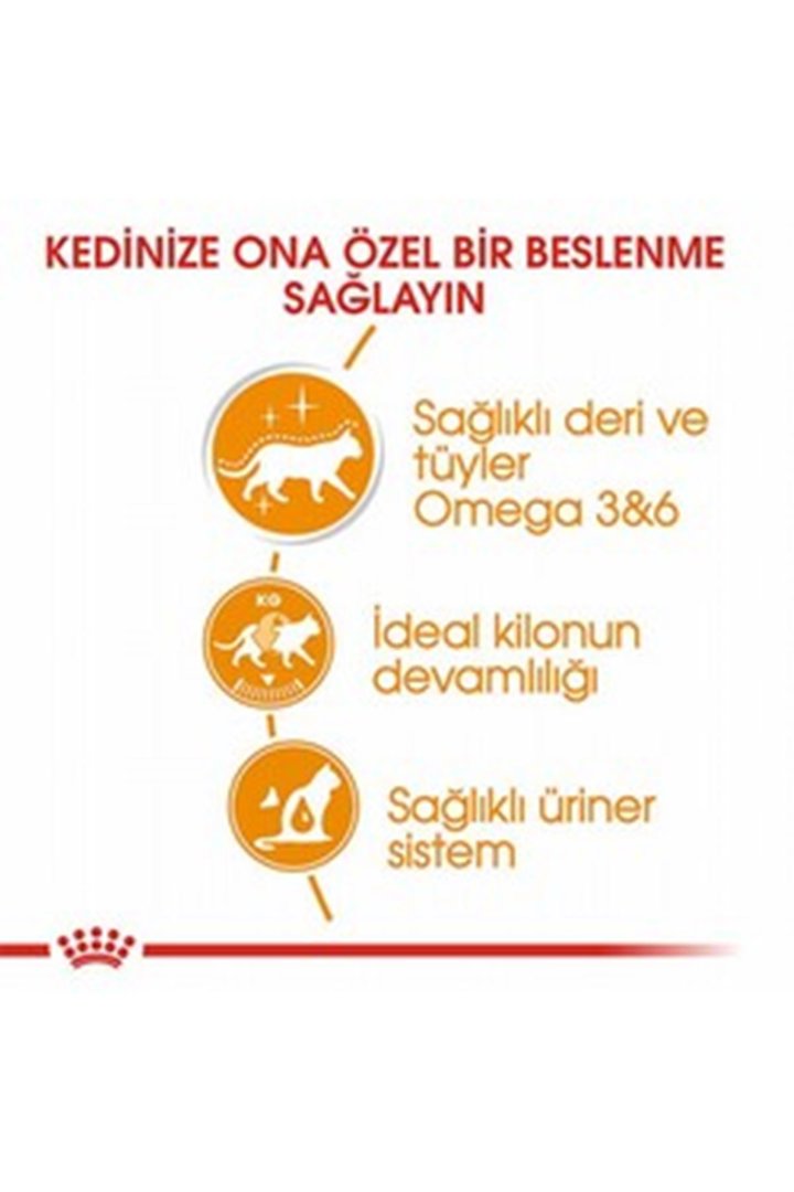 Royal Canin Kedi Yaş Maması Hair Skin Jöle 85 G görsel 6
