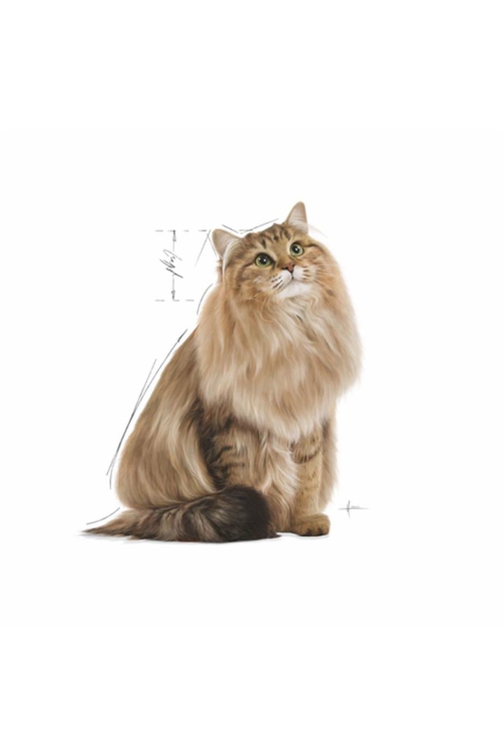 Royal Canin Kedi Yaş Maması Light Weight 85 G görsel 2