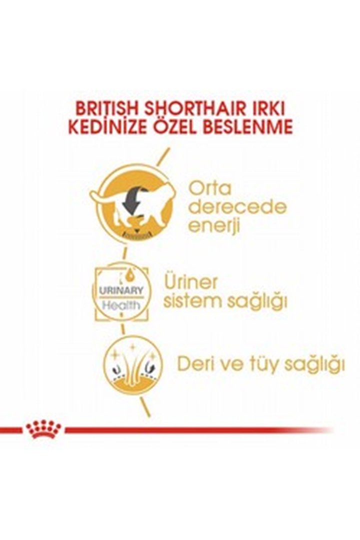 Royal Canin Kedi Yaş Maması British Shorthair 85 G görsel 4