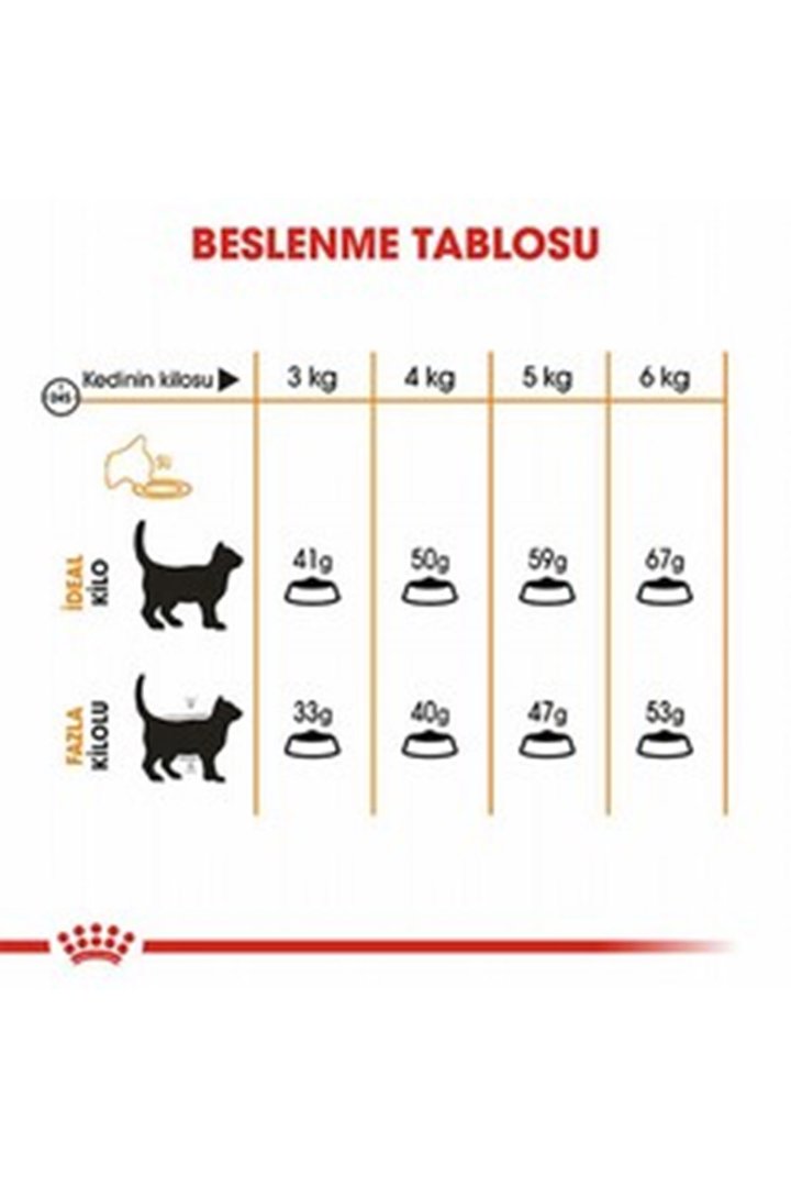 Royal Canin Kedi Maması Tüy Ve Deri Sağlığı 2 Kg görsel 4