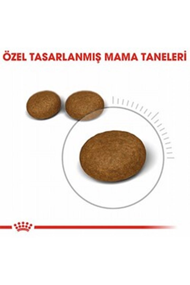 Royal Canin Kedi Maması Tüy Ve Deri Sağlığı 2 Kg görsel 5