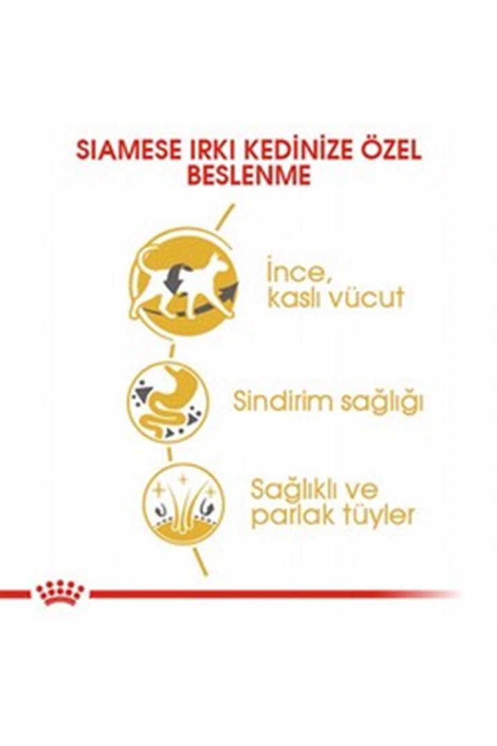 Royal Canin Kedi Maması Siyam 2 Kg görsel 3