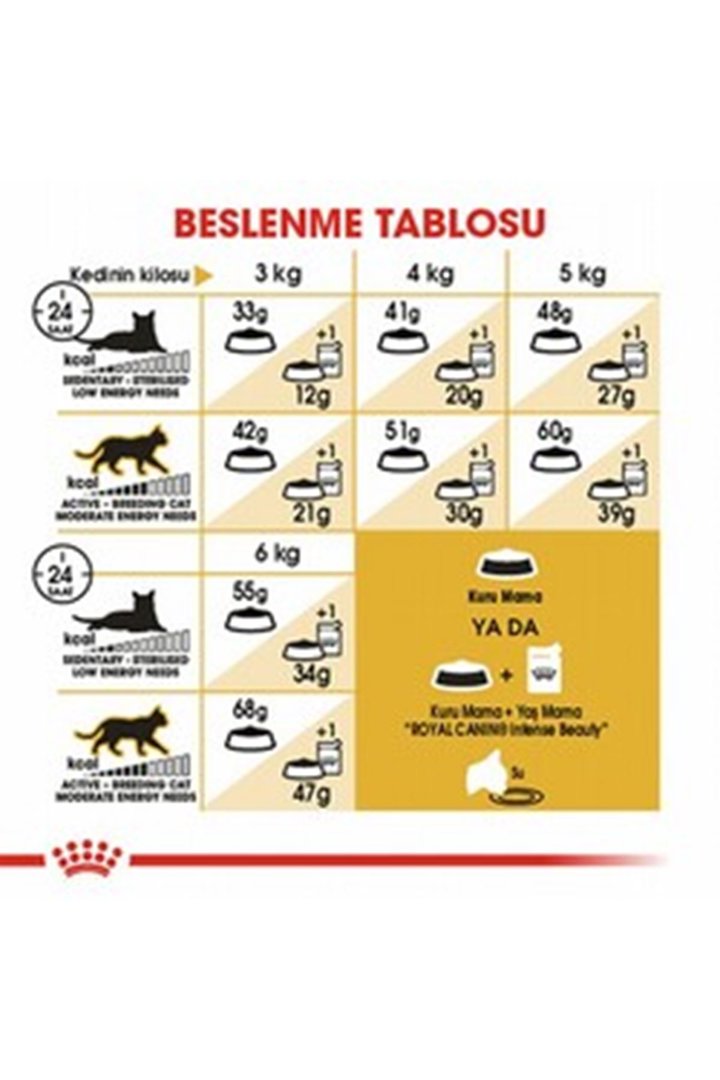Royal Canin Kedi Maması Siyam 2 Kg görsel 4