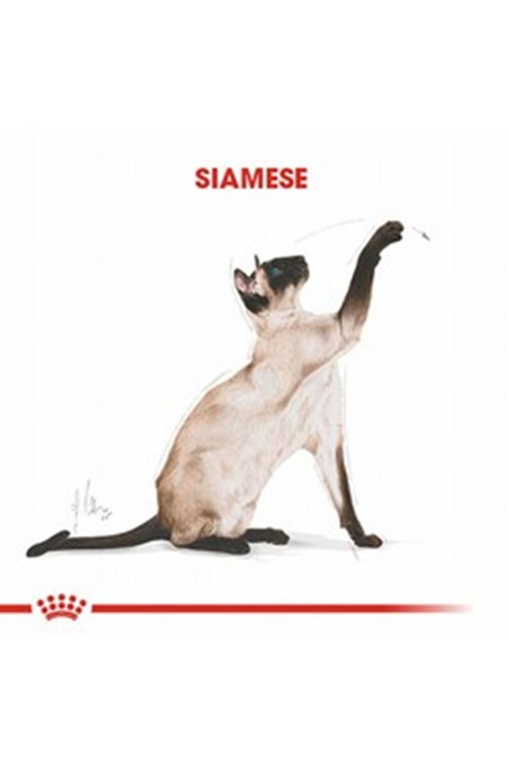 Royal Canin Kedi Maması Siyam 2 Kg görsel 6