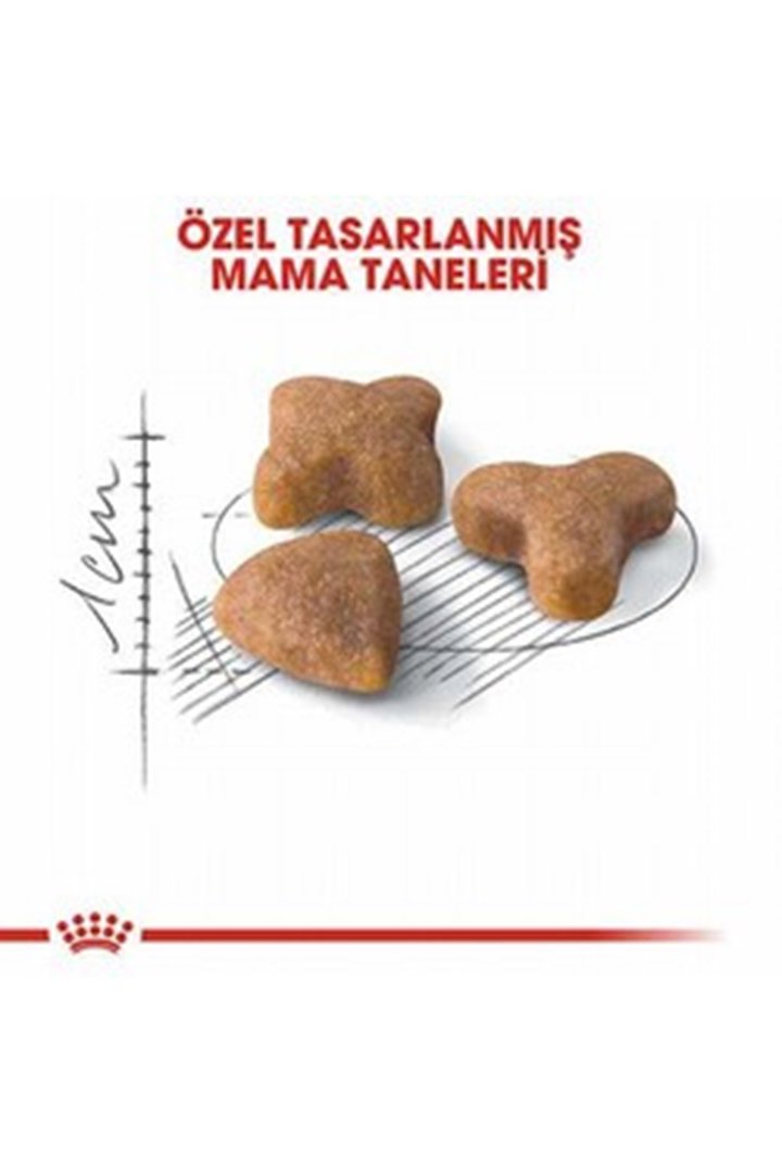 Royal Canin Kedi Maması Sindirim Hassasiyeti 2 Kg görsel 4
