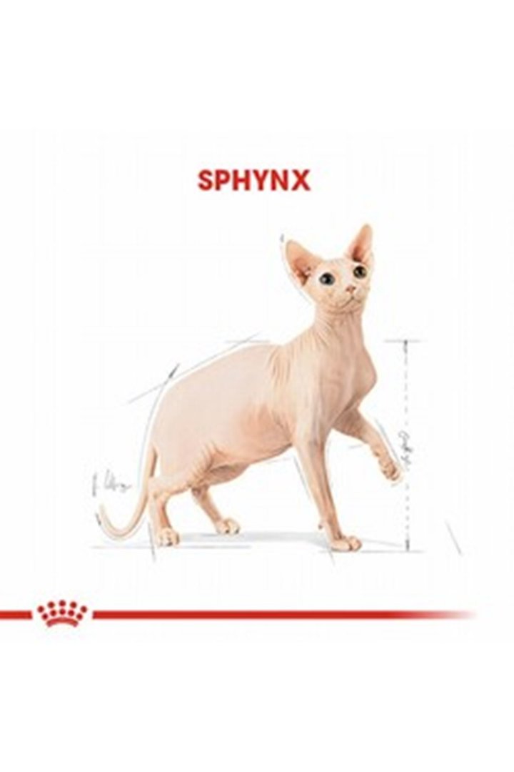 Royal Canin Kedi Maması Sfenks 2 Kg görsel 2