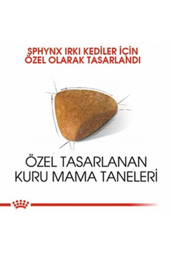 Royal Canin Kedi Maması Sfenks 2 Kg görsel 3