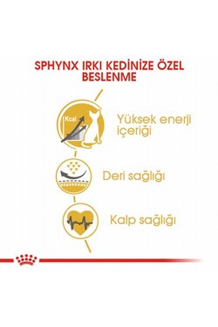 Royal Canin Kedi Maması Sfenks 2 Kg görsel 4
