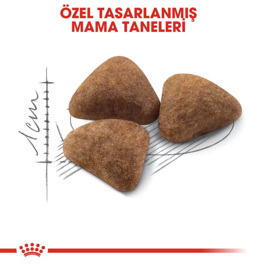 Royal Canin Kedi Maması Indoor27 2 Kg görsel 2