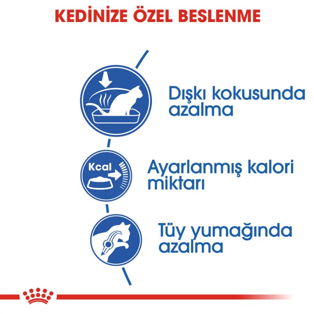 Royal Canin Kedi Maması Indoor27 2 Kg görsel 4