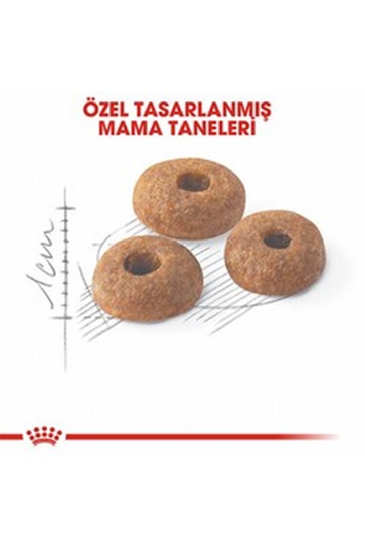 Royal Canin Kedi Maması Fit32 2 Kg görsel 3