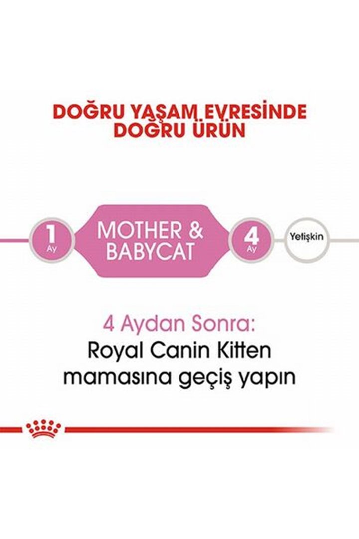Royal Canin Kedi Maması Anne Ve Yavru 2 Kg görsel 2
