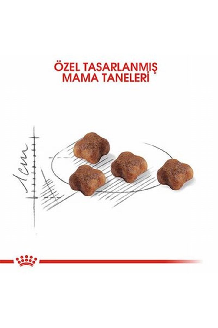 Royal Canin Kedi Maması Anne Ve Yavru 2 Kg görsel 8