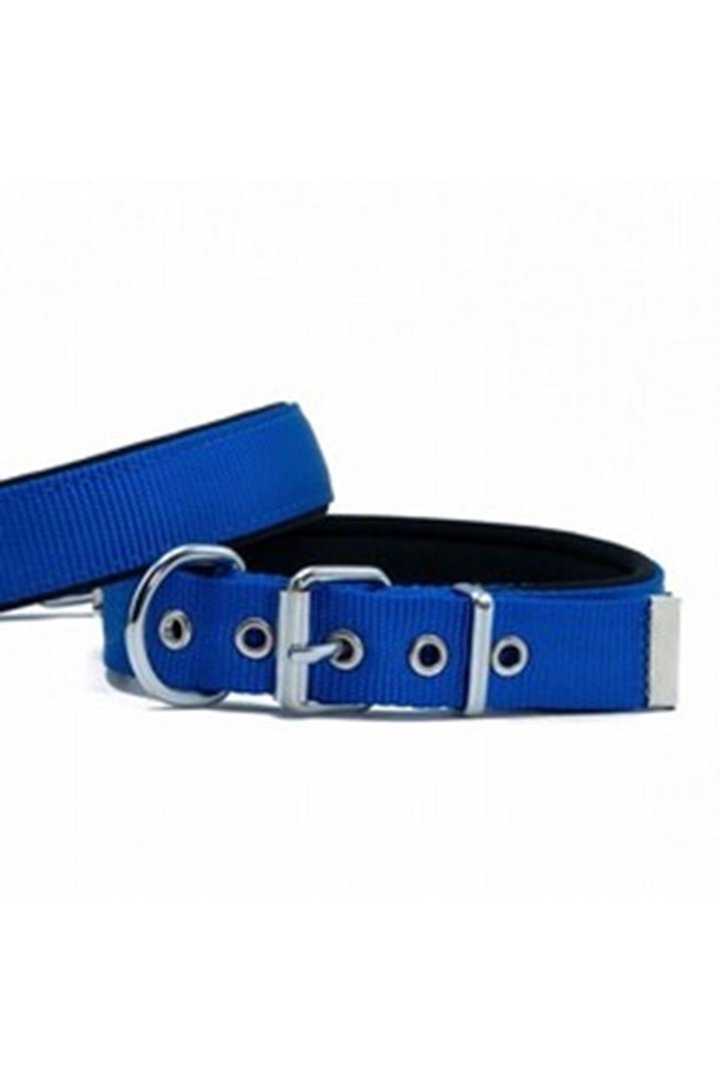 Doggie Köpek Boyun Tasması Royal Mavi 3*42-50 Cm