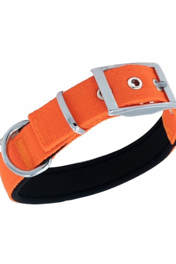 Doggie Köpek Boyun Tasması Elit Turuncu 42-50 Cm görsel 3
