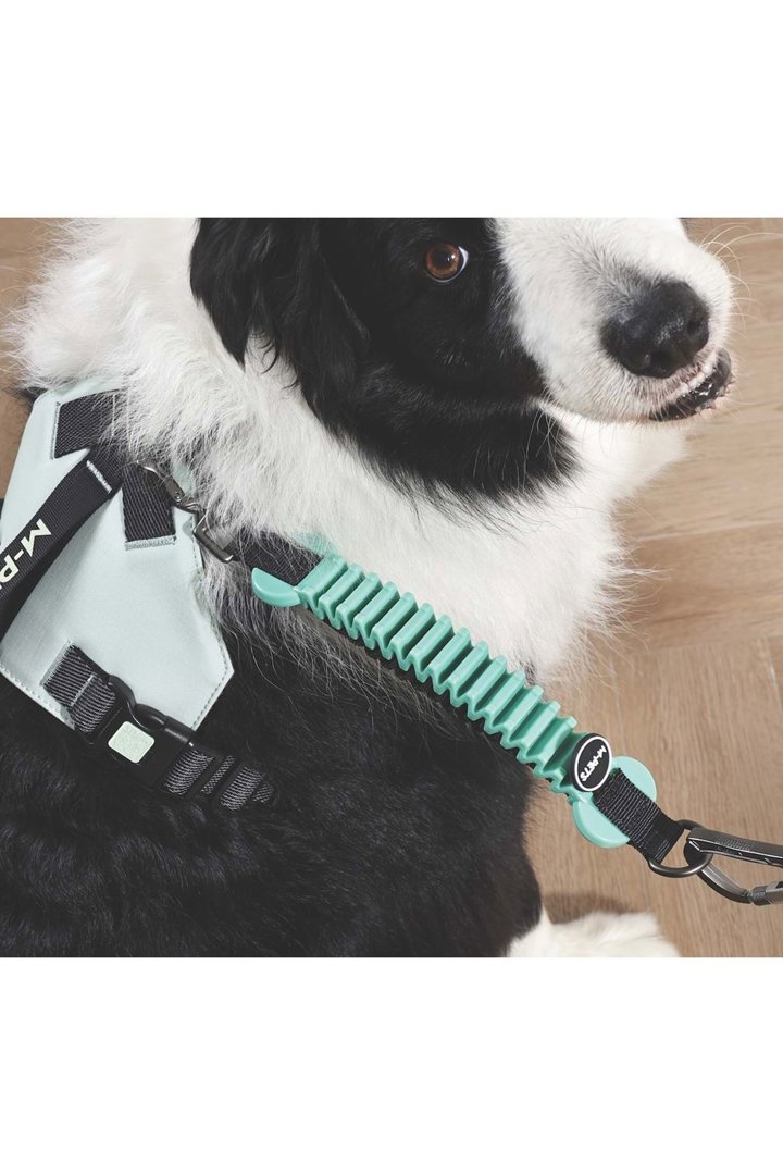 M-Pets Köpek İçin Şok Emici Ara Kayış Yeşil 25 Cm görsel 2