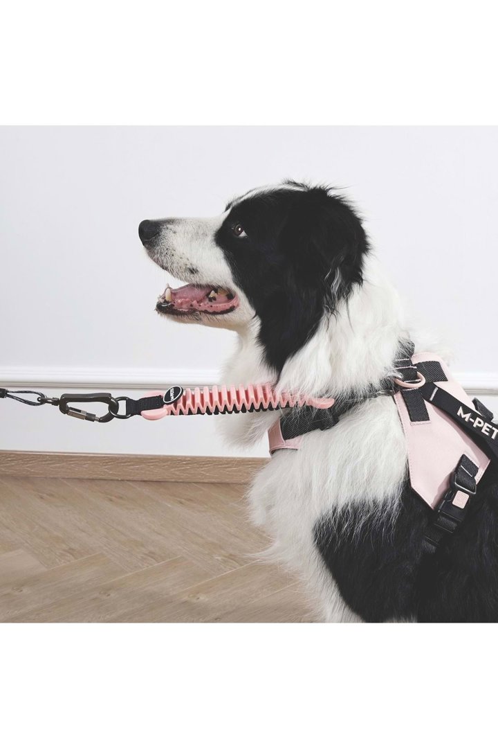 M-Pets Köpek İçin Şok Emici Ara Kayış Pembe 25 Cm görsel 2