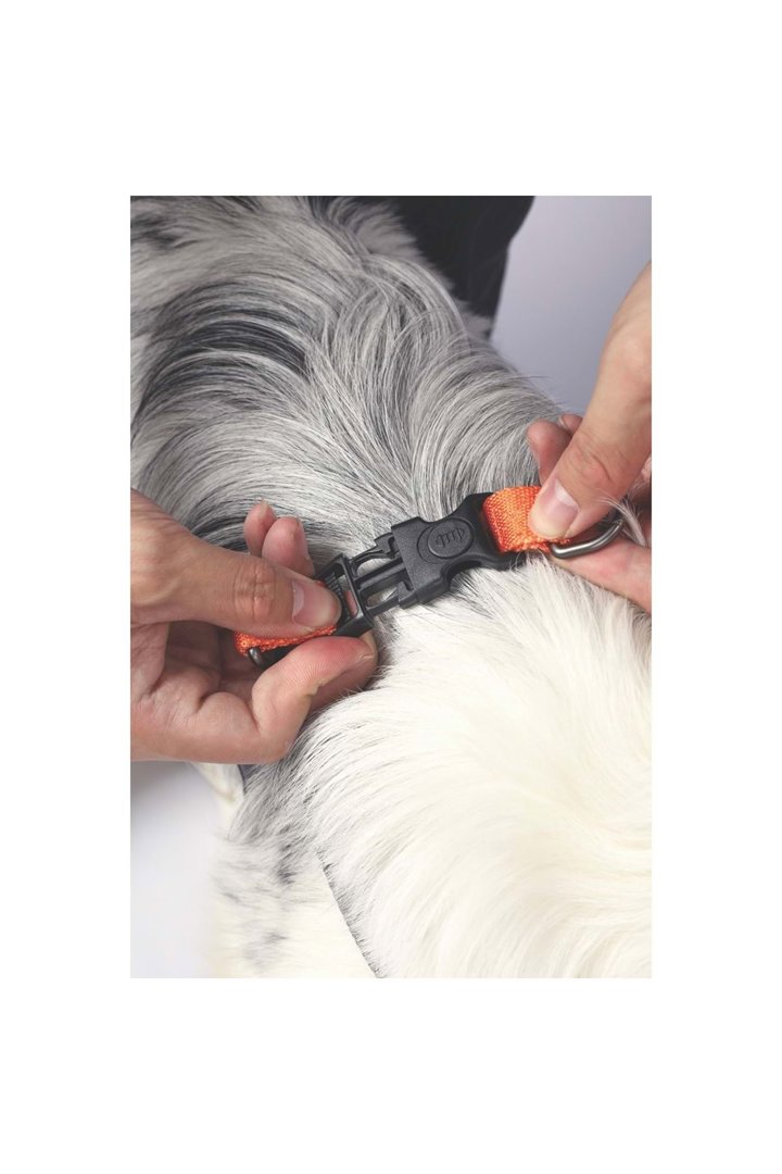 M-Pets Köpek Göğüs Tasması Wild Jungle Harness (M) görsel 4