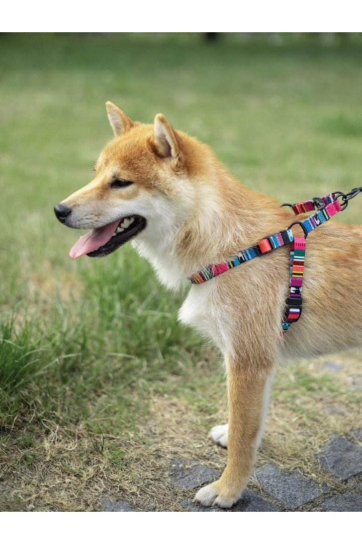 M-Pets Köpek Göğüs Tasması Urban Style (S) 120 Cm görsel 4