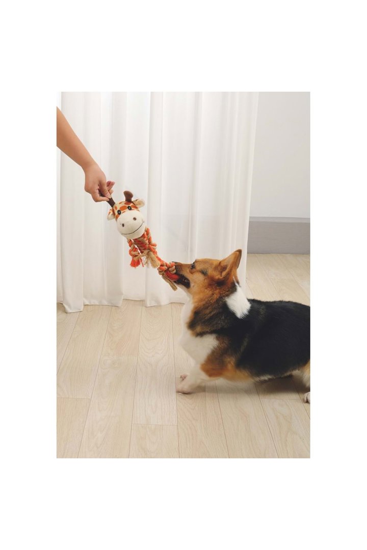 M-Pets Köpek Oyuncağı Zia 33*26*10 Cm görsel 4