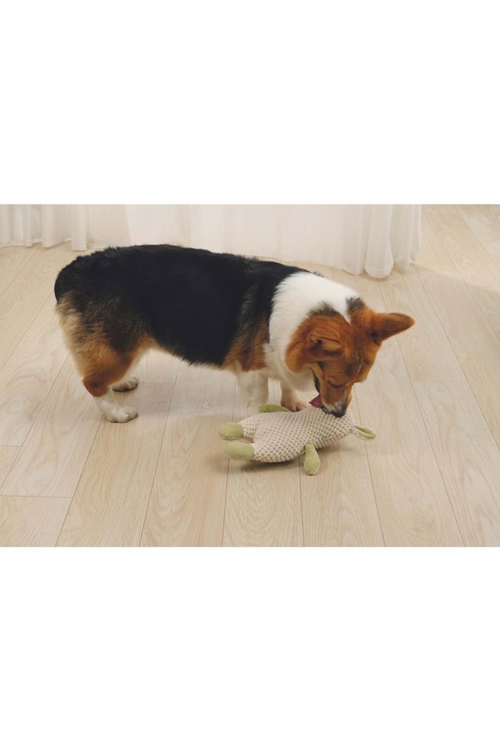 M-Pets Köpek Oyuncağı Vigo 23*11*8 Cm görsel 2