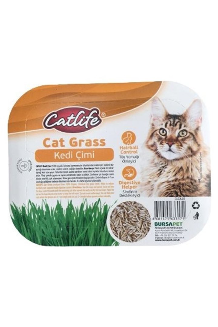 Catlife Kedi Çimi