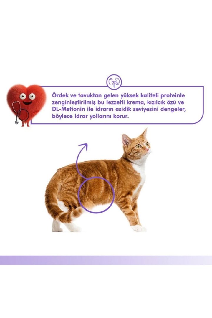 Wanpy Kedi Krema Urinary Ördekli Tavuklu 5*14 G görsel 2