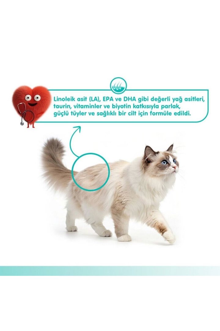 Wanpy Kedi Krema Ton Balık,Somon Tüy Sağlığı 5*14G görsel 4