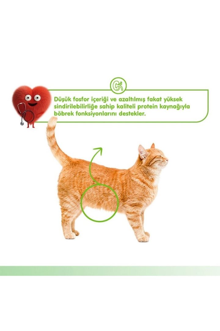 Wanpy Kedi Krema Tavuk,Sebze Böbrek Sağlığı  5*14G görsel 4