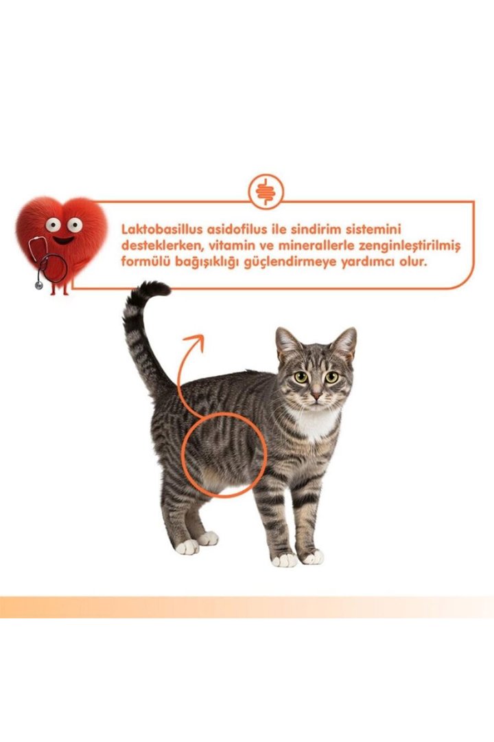 Wanpy Kedi Krema Somon,Tavuk Sindirim Dest. 5*14G görsel 5