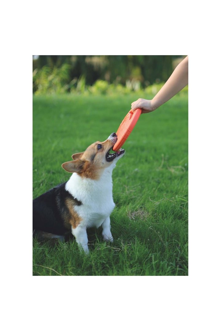 M-Pets Köpek Oyuncağı Suda Yüzen Frizbi 23*23*3 Cm görsel 5