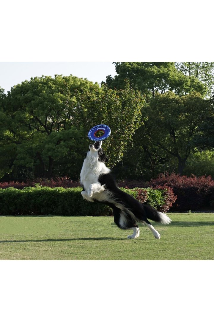 M-Pets Köpek Oyuncağı Sprintpuff Frisbee Mavi 24Cm görsel 4
