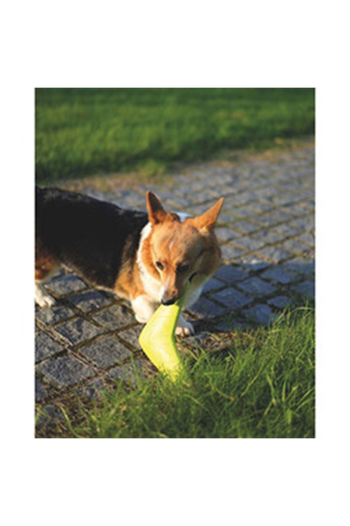 M-Pets Köpek Oyuncağı Splash Frizbi Turuncu görsel 4