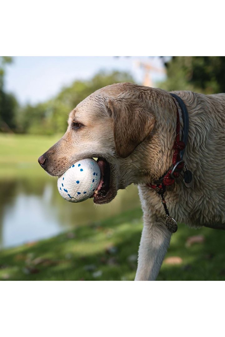 M-Pets Köpek Oyuncağı Rugby Topu Mavi-Beyaz 14 Cm görsel 3