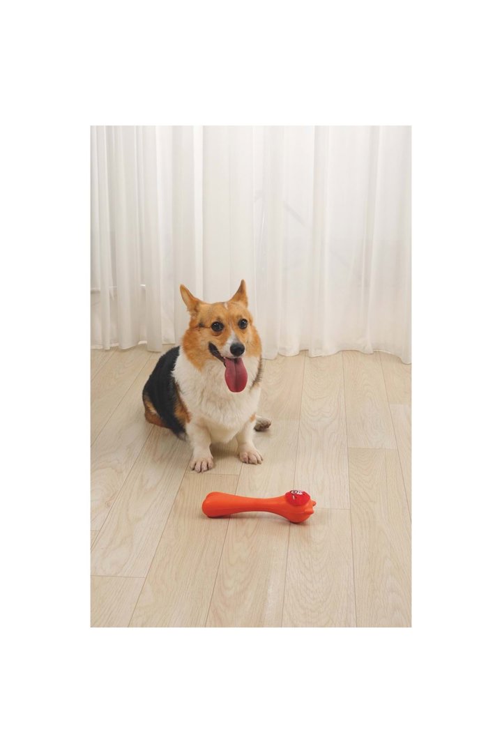 M-Pets Köpek Oyuncağı Rob Ödül Hazneli Turuncu görsel 3