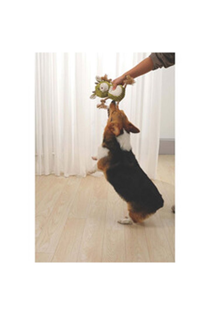 M-Pets Köpek Oyuncağı Peluş Rosie 28*23*11 Cm görsel 6