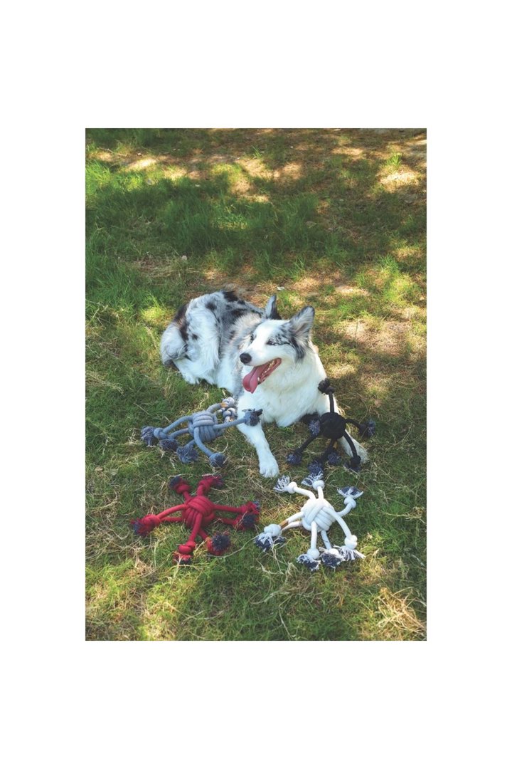 M-Pets Köpek Oyuncağı Örgü Örümcek Siyah 38*9 Cm görsel 2