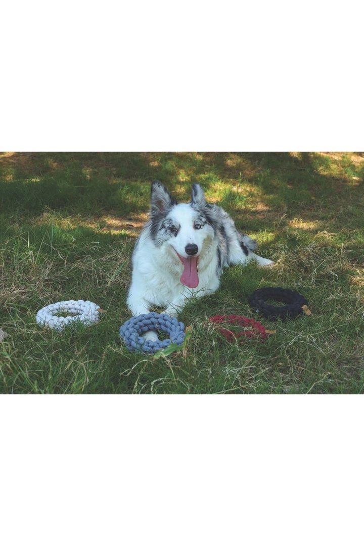 M-Pets Köpek Oyuncağı Örgü Halka Kırmızı 18*18*5Cm görsel 2