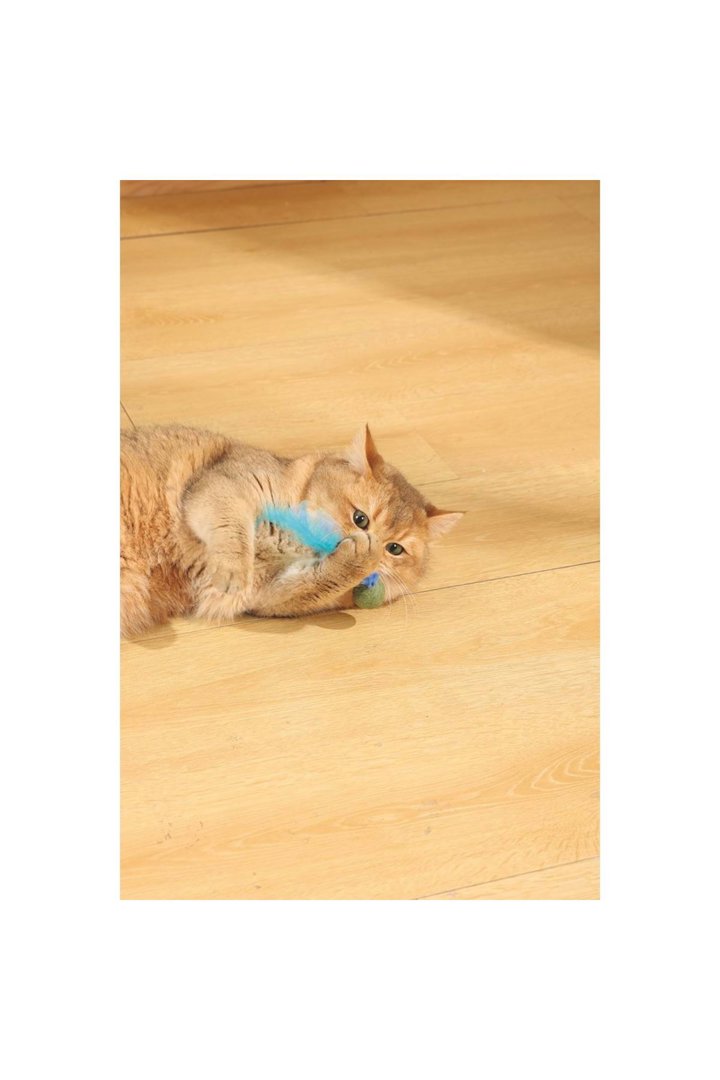 M-Pets Kedi Oyuncağı Catnipli Tüylü Top Mavi 13 Cm görsel 5