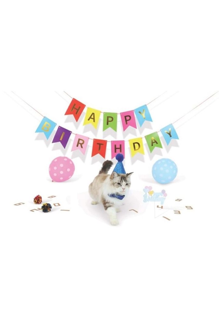 M-Pets Kedi Doğum Günü Seti Party Time 20*20*7 Cm görsel 2