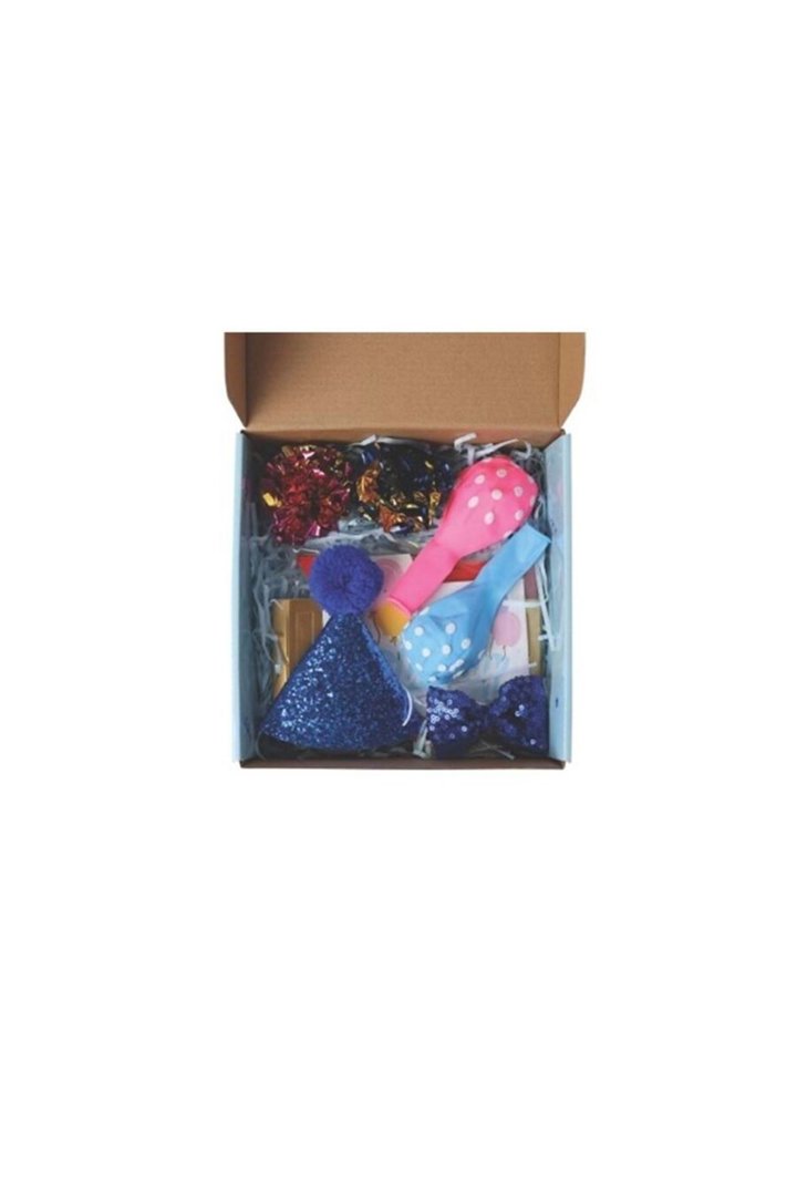 M-Pets Kedi Doğum Günü Seti Party Time 20*20*7 Cm görsel 3