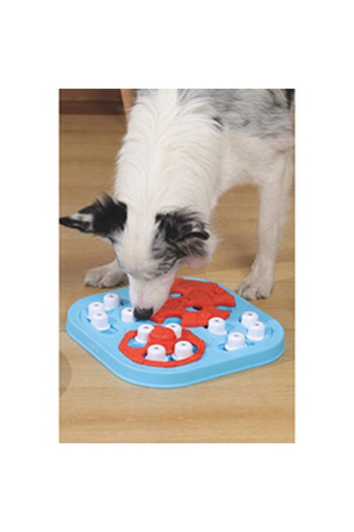 M-Pets Köpek Eğitim Oyuncağı Puzzle 3.Seviye görsel 4